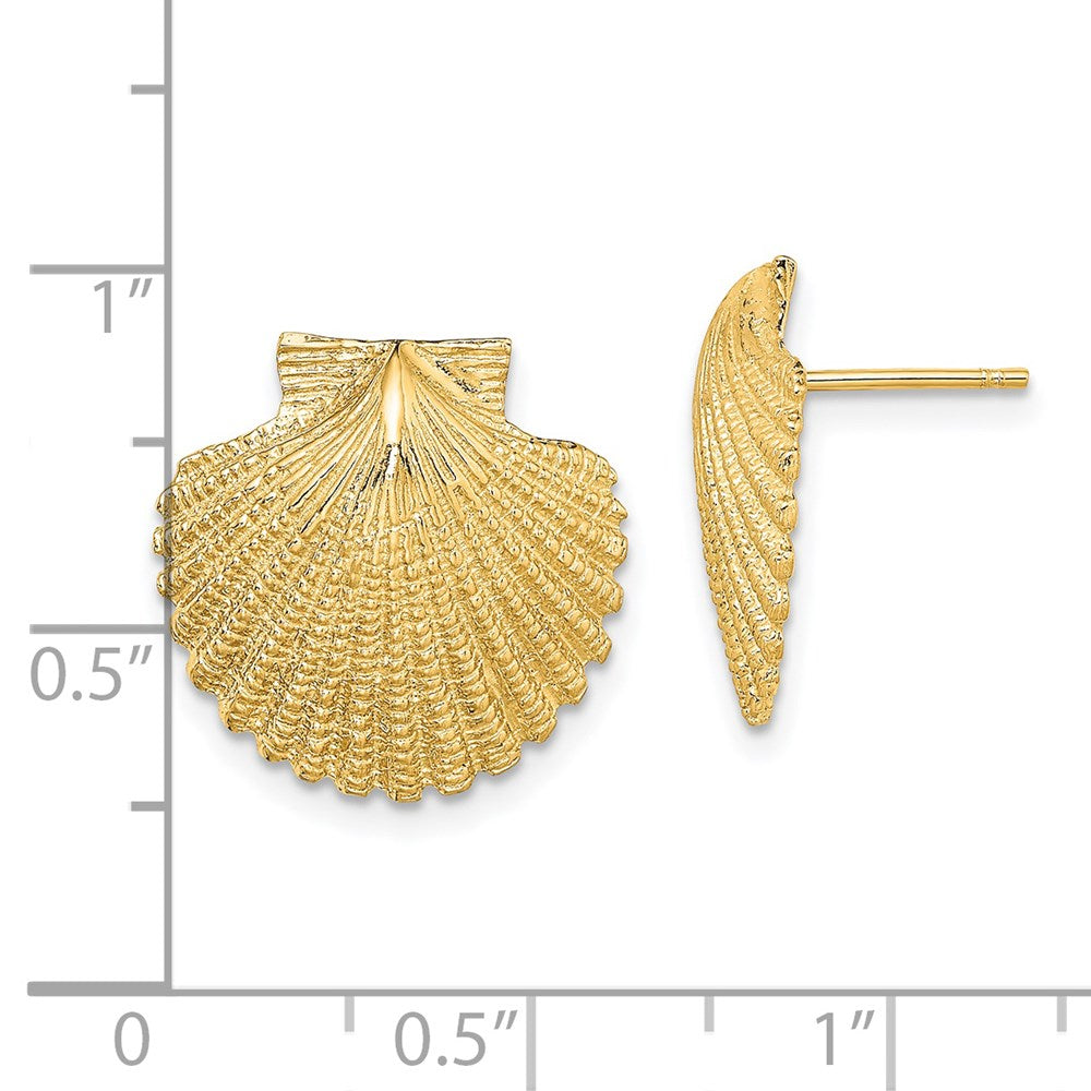14k Yellow Gold 16.6 mm 2-D Textured Scallop Shell Post Earrings (5.4 grams)