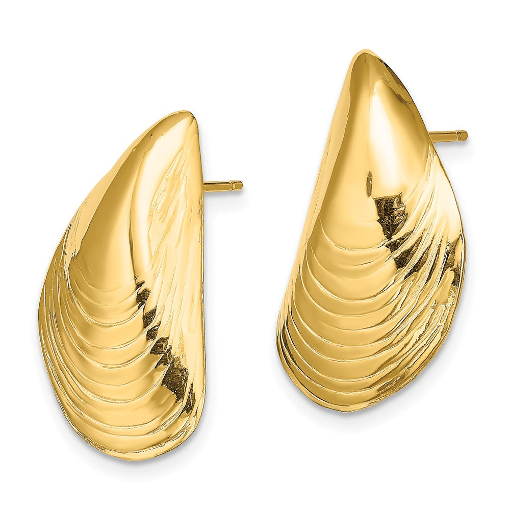 14k Yellow Gold 13.2 mm Polished Mussel Shell Post Earrings (6.04 grams)