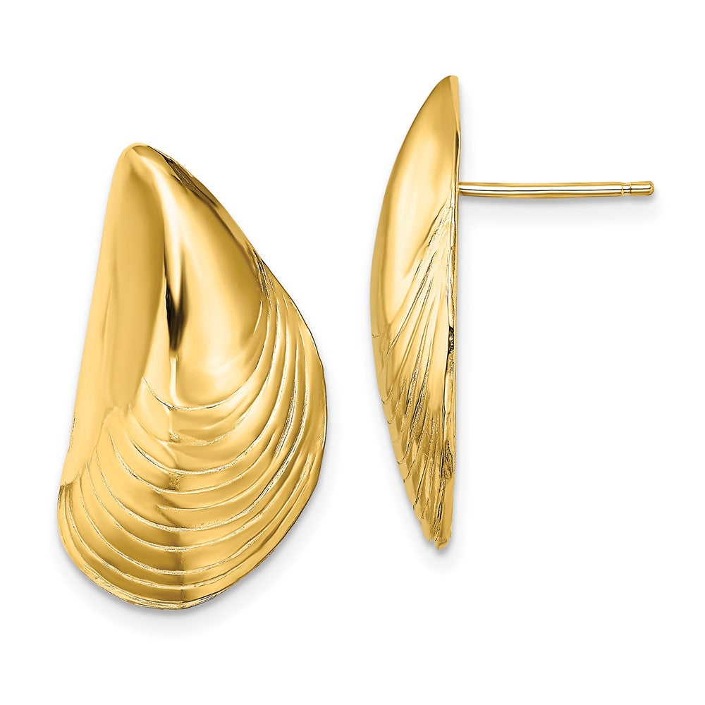 14k Yellow Gold 13.2 mm Polished Mussel Shell Post Earrings (6.04 grams)