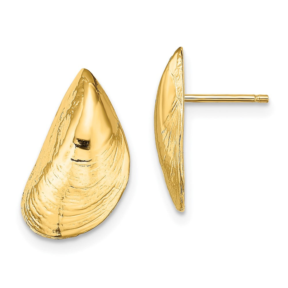 14k Yellow Gold 9.9 mm Mussel Shell Post Earrings (2.08 grams)