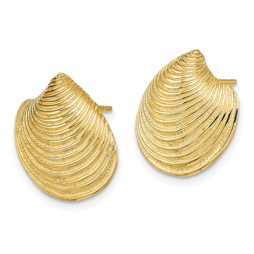 14k Yellow Gold 16.8 mm 2-D Textured and Polished Clam Shell Post Earrings (4.88 grams)