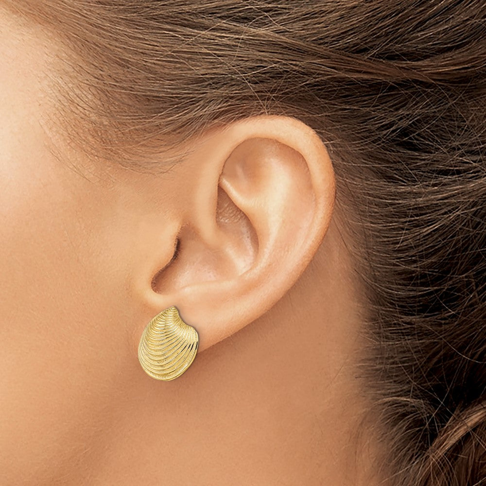 14k Yellow Gold 16.8 mm 2-D Textured and Polished Clam Shell Post Earrings (4.88 grams)