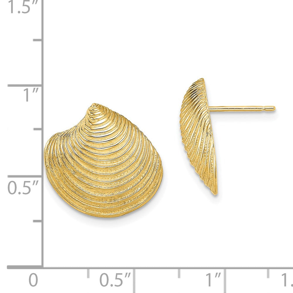 14k Yellow Gold 16.8 mm 2-D Textured and Polished Clam Shell Post Earrings (4.88 grams)