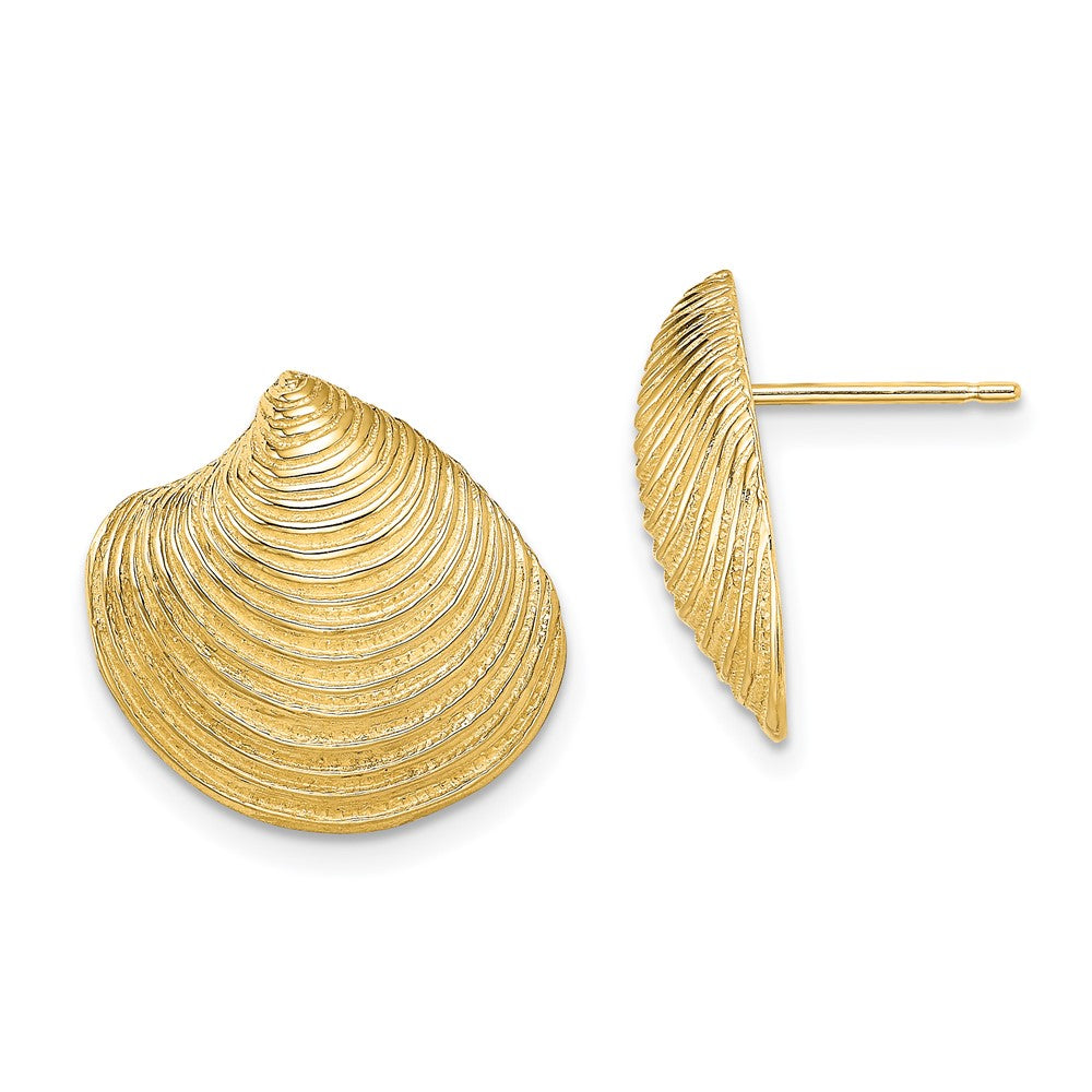 14k Yellow Gold 16.8 mm 2-D Textured and Polished Clam Shell Post Earrings (4.88 grams)