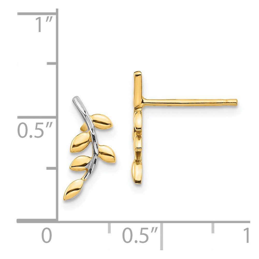 14k Yellow & Rhodium 5.4 mm Leaves Post Earrings (1.01 grams)