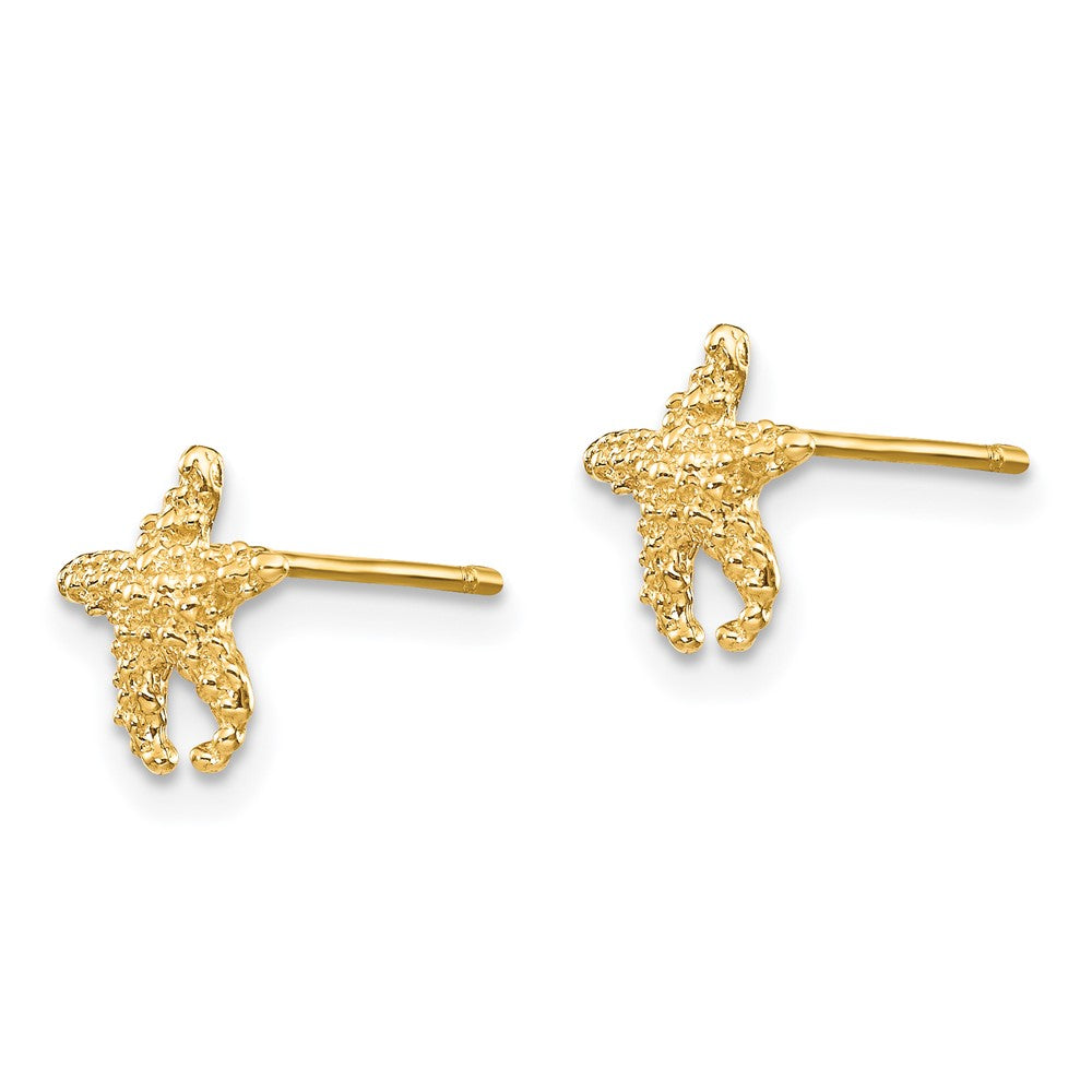 14k Yellow Gold 8 mm Polished and Textured Starfish Post Earrings (0.92 grams)