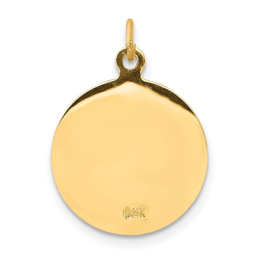 14k Yellow Gold 15 mm Sacred Heart of Jesus Medal Charm (1.21 grams)