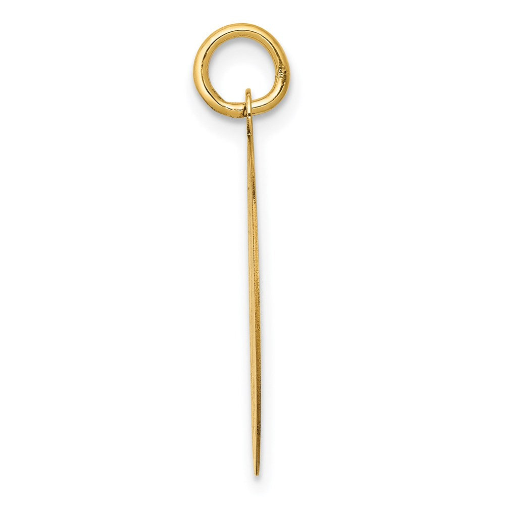 14k Yellow Gold 20 mm Poodle Disc Charm (1.03 grams)