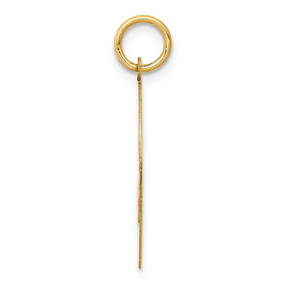 14k Yellow Gold 20 mm Yorkshire Terrier Disc Charm (1.05 grams)