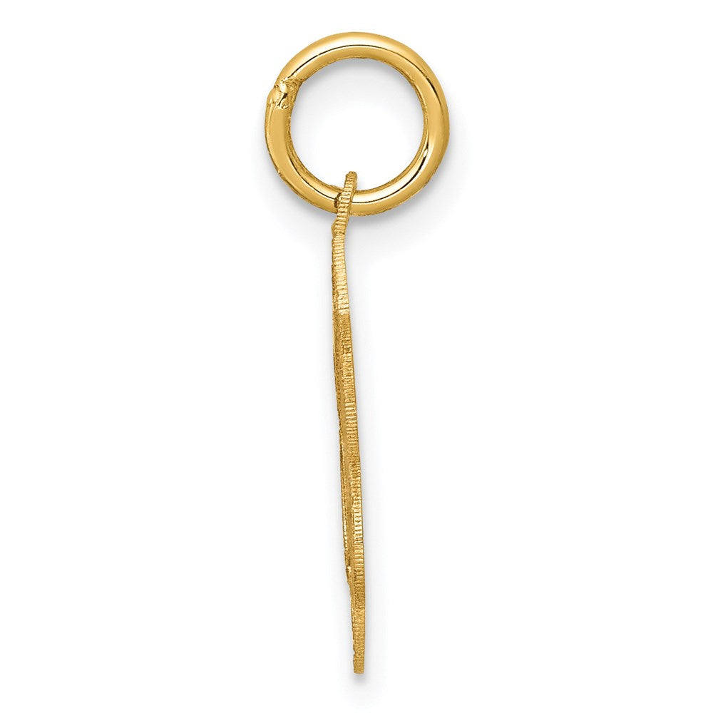 14k Yellow Gold 13 mm nion Charm (0.45 grams)