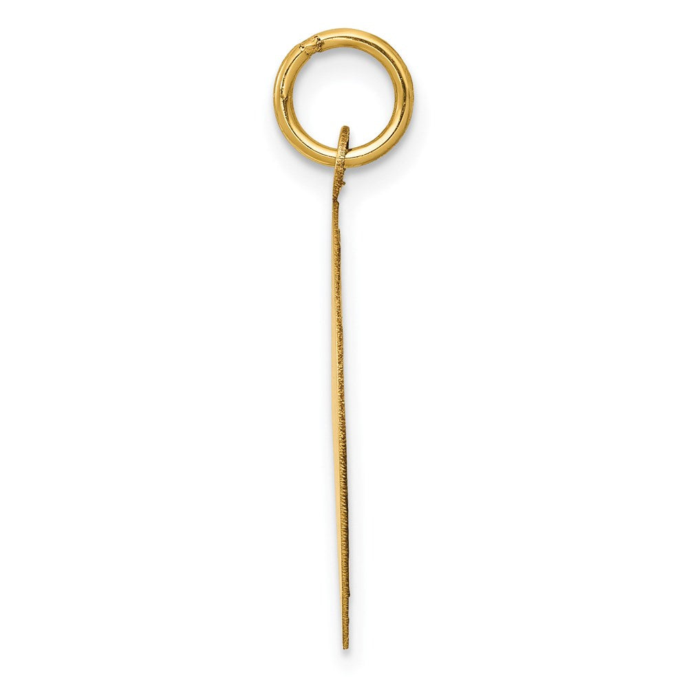 14k Yellow Gold 20 mm nion Disc Pendant (0.95 grams)