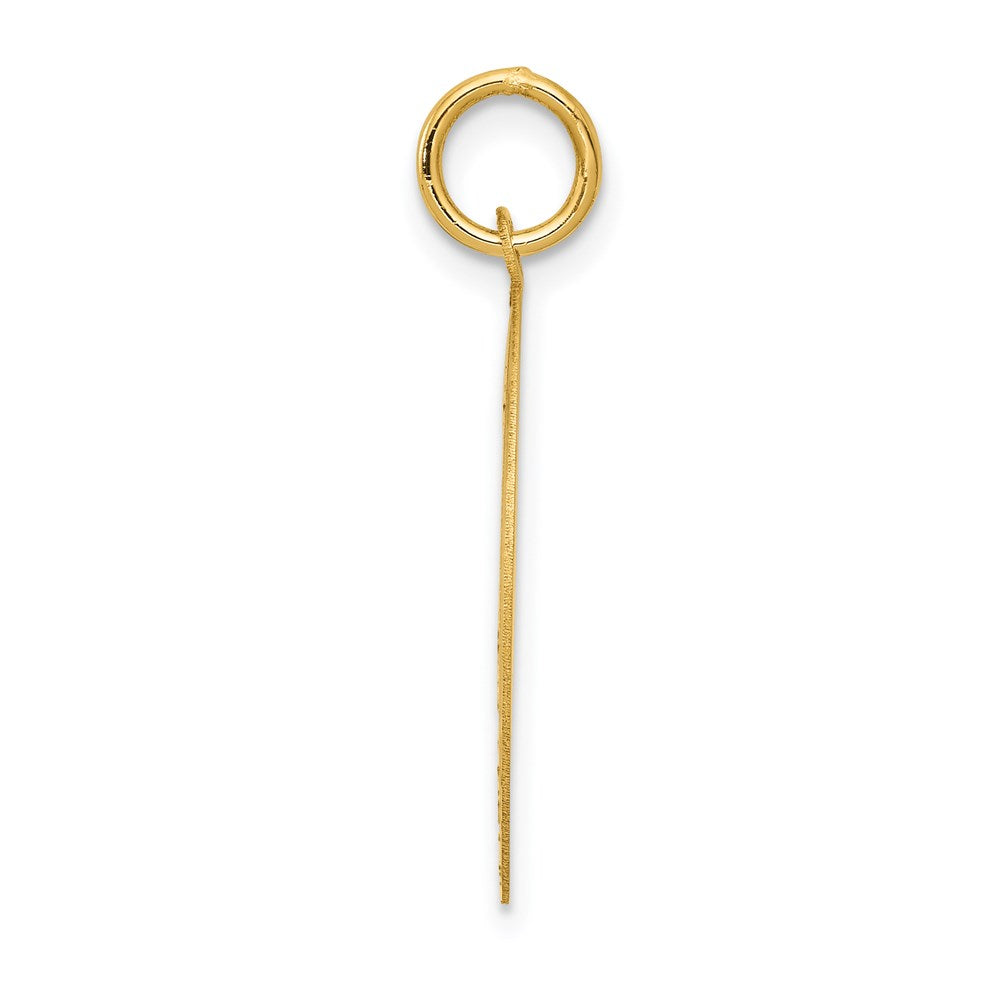 14k Yellow Gold 20 mm Pug Disc Charm (1 grams)