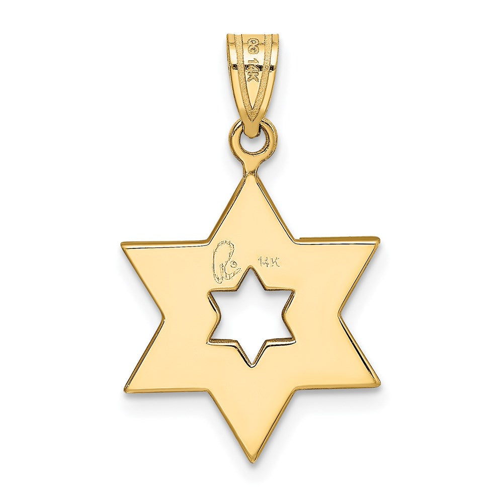 14k Two-tone 16 mm Two-Tone Star Of David Pendant (1.7 grams)