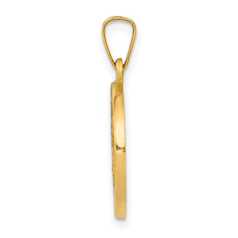 14k Yellow Gold 15 mm Polished and Satin Sacred Heart of Jesus Medal Hollow Pendant (0.88 grams)