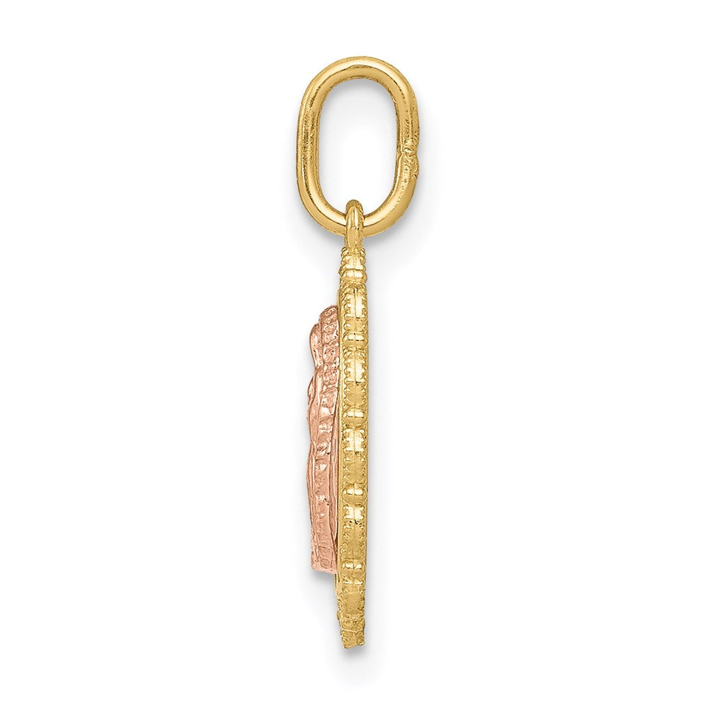 14k Two-tone 8.8 mm Guadalupe Pendant (0.52 grams)