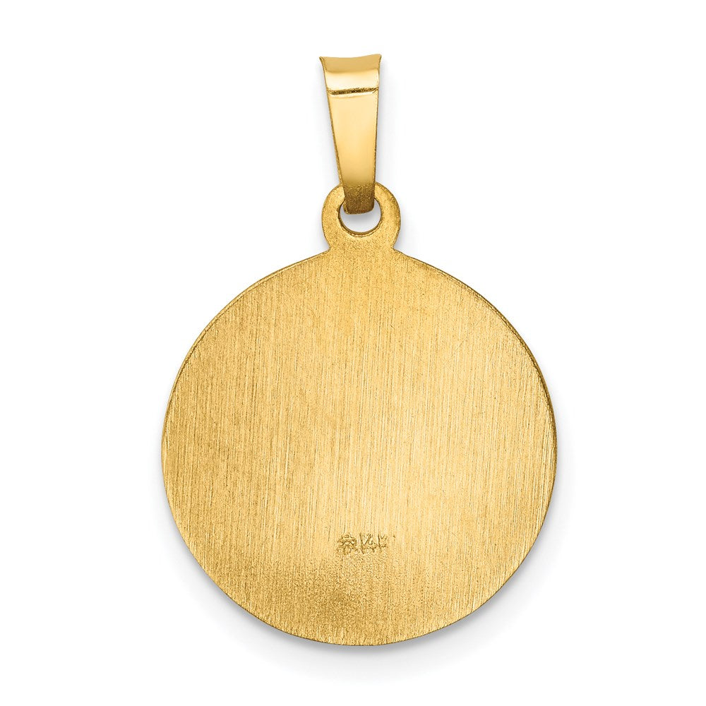 14k Yellow Gold 15 mm Polished and Satin Sacred Heart of Mary Medal Hollow Pendant (0.88 grams)
