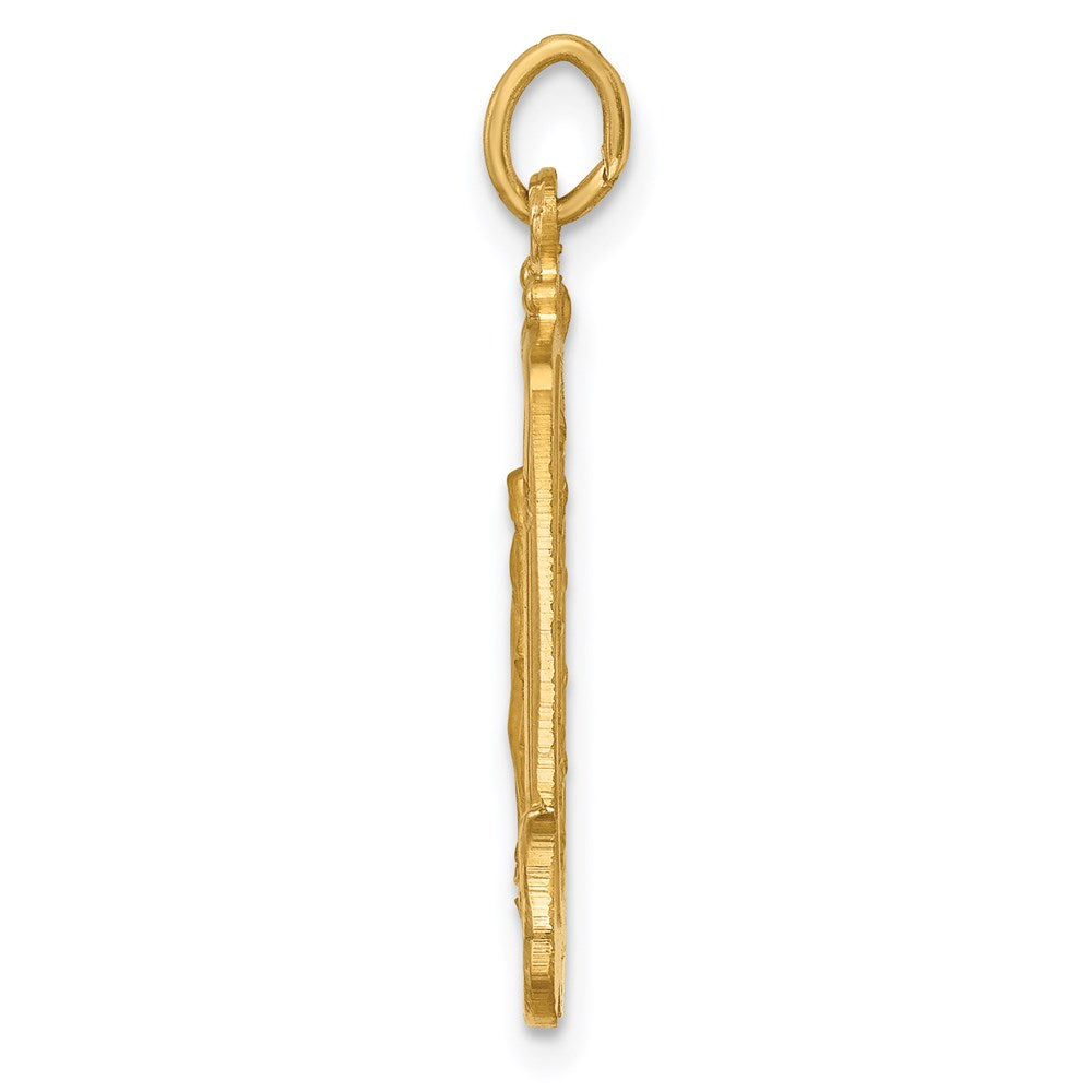 14k Yellow Gold 14.5 mm Solid Polished/Satin Large Rectangle Framed Miraculous Medal (2.56 grams)