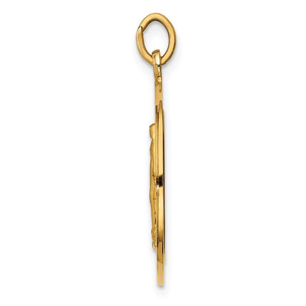 14k Yellow Gold 20.25 mm Solid Polished/Satin Medium Round Miraculous Medal (2.32 grams)