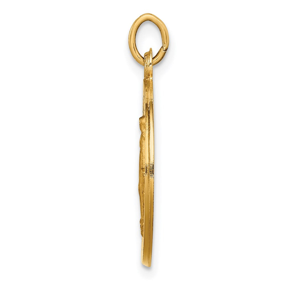 14k Yellow Gold 18.5 mm Solid Polished/Satin Small Round Miraculous Medal (2.35 grams)