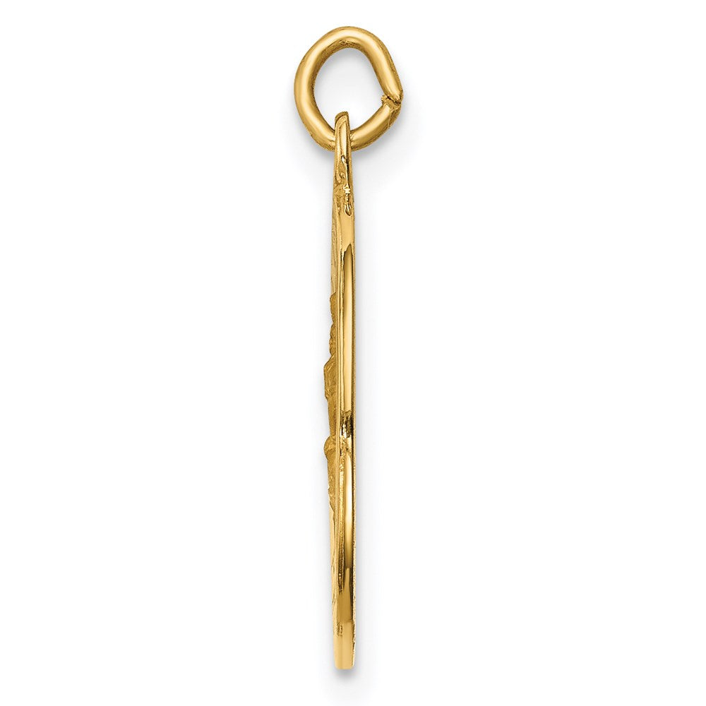 14k Yellow Gold 15 mm Solid Polished/Satin Small Round St. Christopher Medal (1.1 grams)