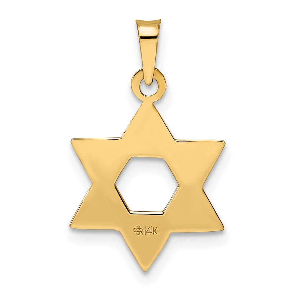 14k Rose Gold 15.65 mm Rose Polished Solid Star of David Pendant (0.99 grams)