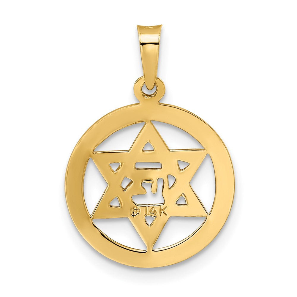 14k Yellow Gold 5.13 mm Polished and Enameled Solid Star of David Pendant (0.87 grams)