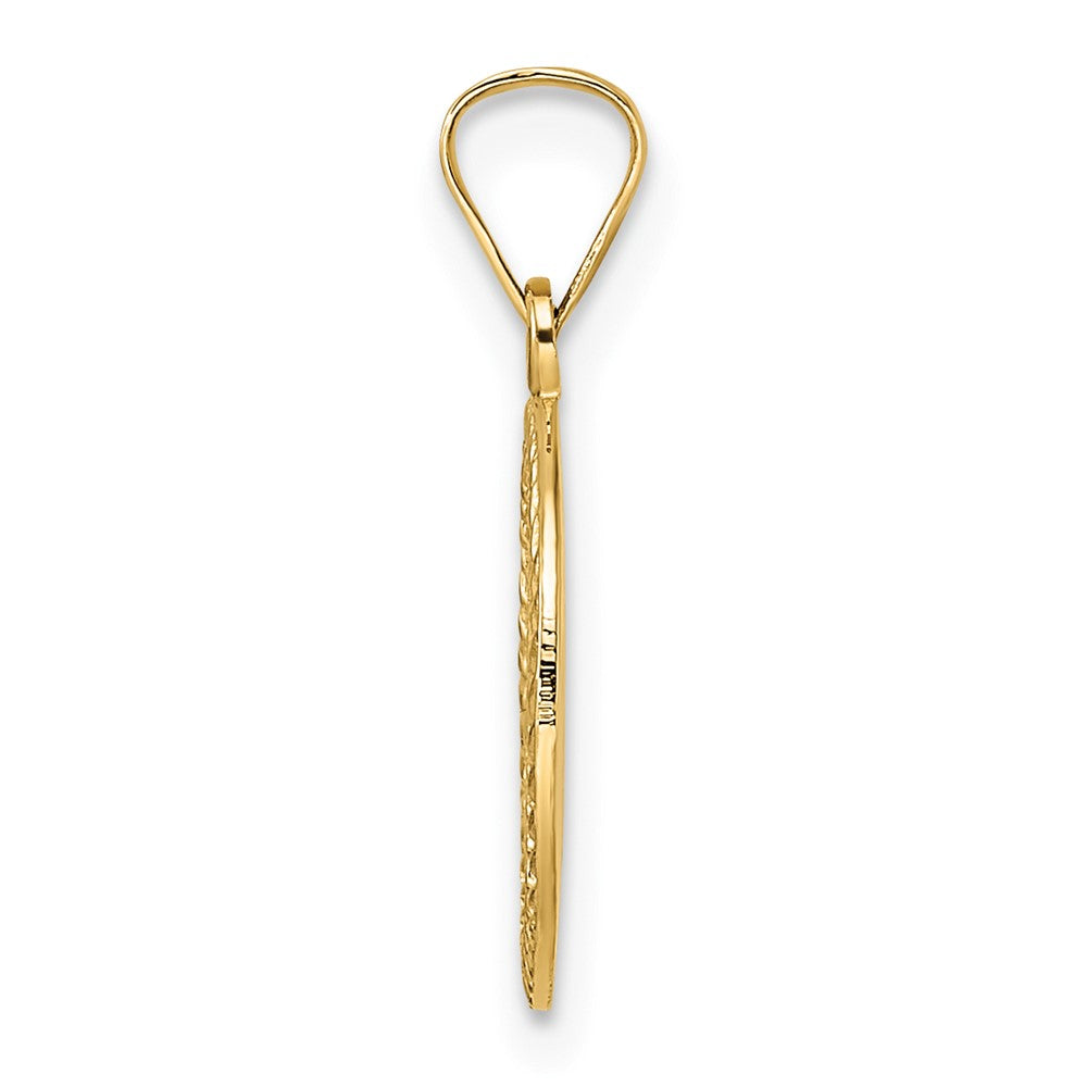 14k Yellow Gold 12.85 mm Polished and Textured Solid Star of David in Frame Pendant (0.82 grams)