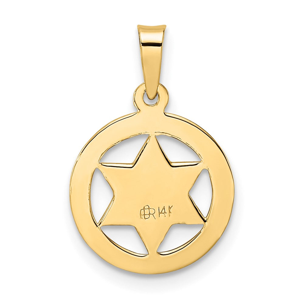 14k Yellow Gold 12.85 mm Polished and Textured Solid Star of David in Frame Pendant (0.82 grams)