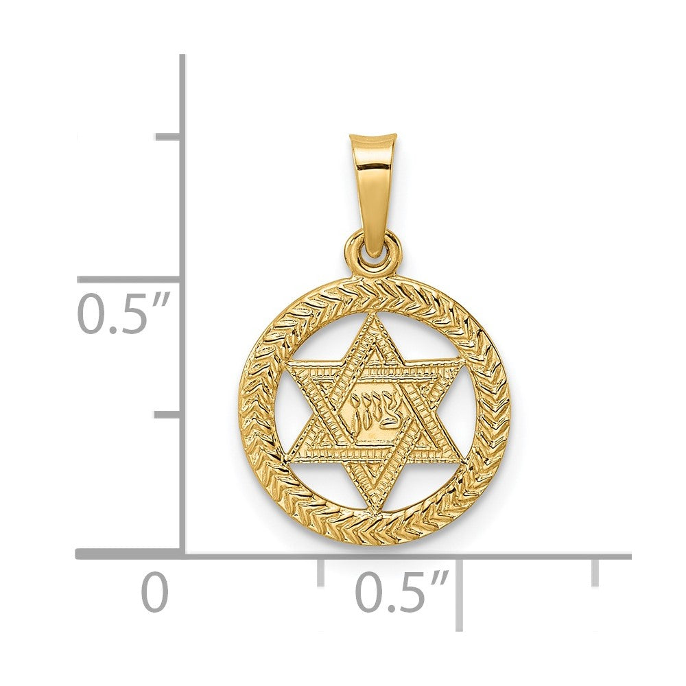 14k Yellow Gold 12.85 mm Polished and Textured Solid Star of David in Frame Pendant (0.82 grams)
