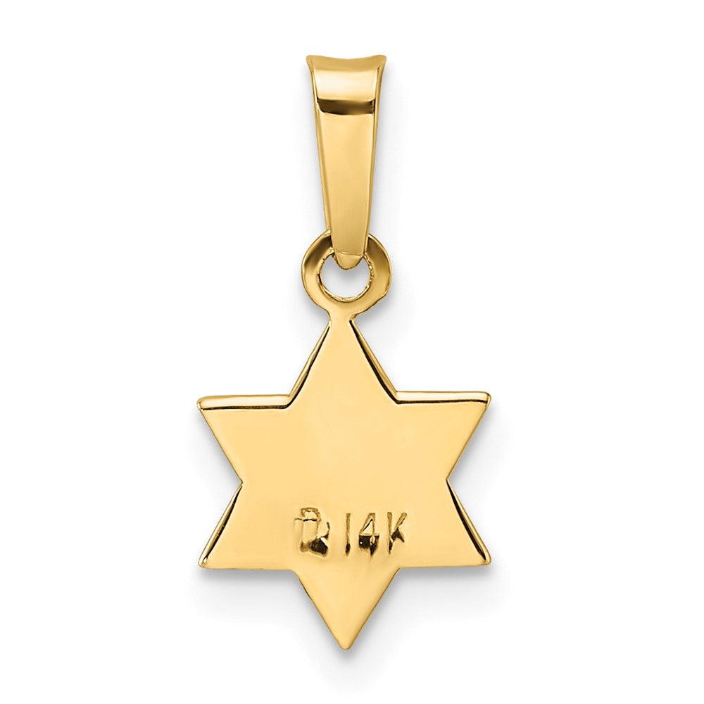 14k Yellow Gold 8.33 mm Polished and Enameled Solid Star of David Pendant (0.33 grams)