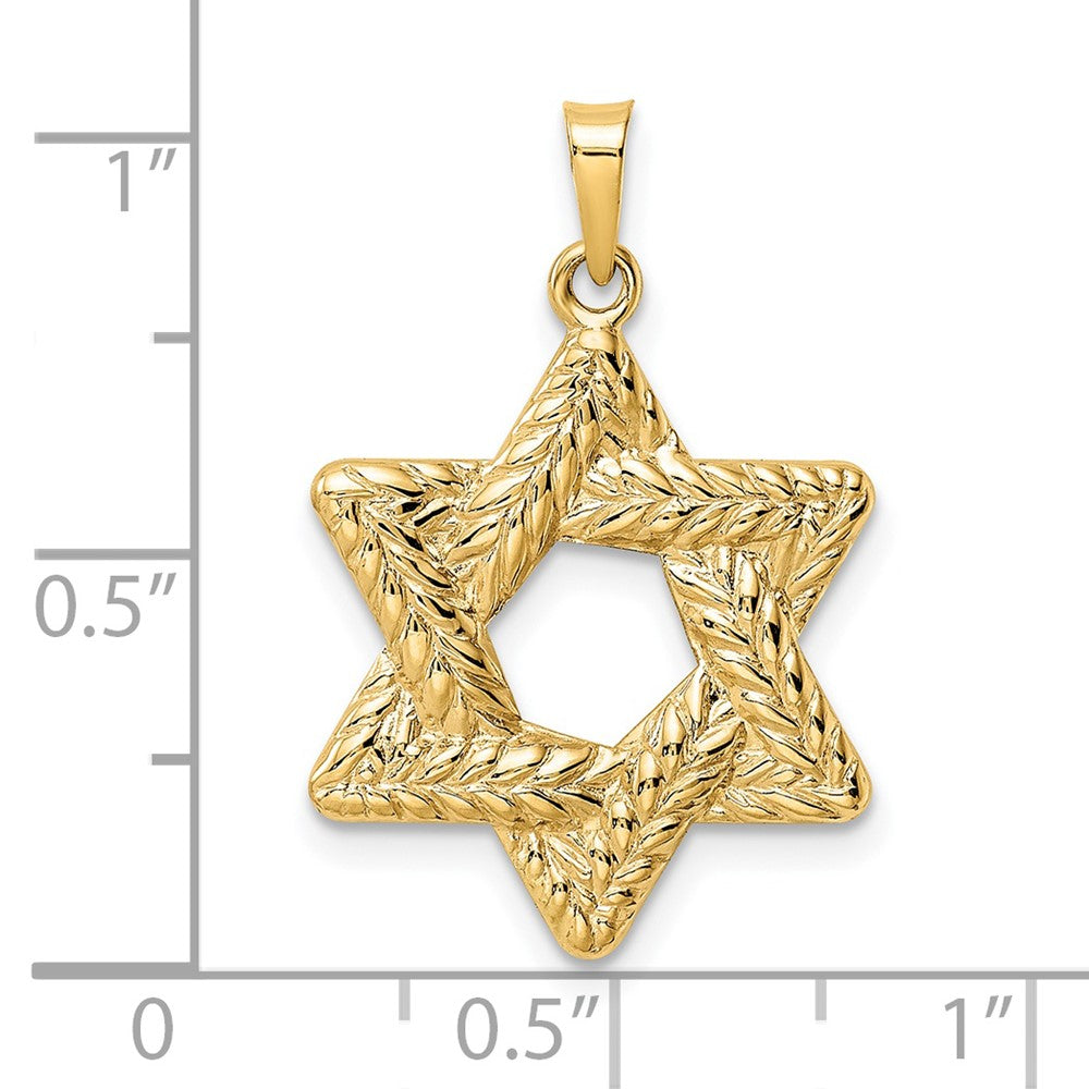 14k Yellow Gold 20.12 mm Polished and Textured Solid Star of David Pendant (1.04 grams)