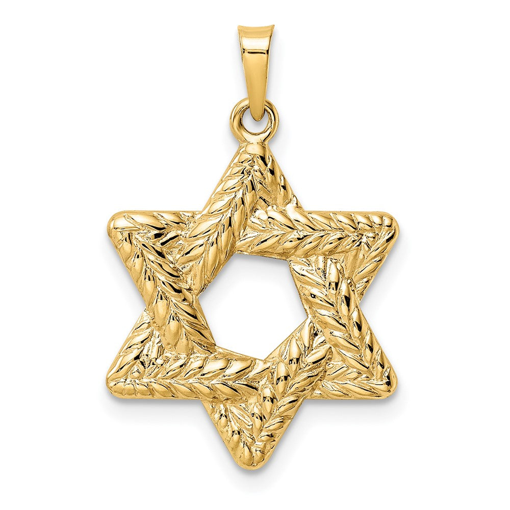 14k Yellow Gold 20.12 mm Polished and Textured Solid Star of David Pendant (1.04 grams)