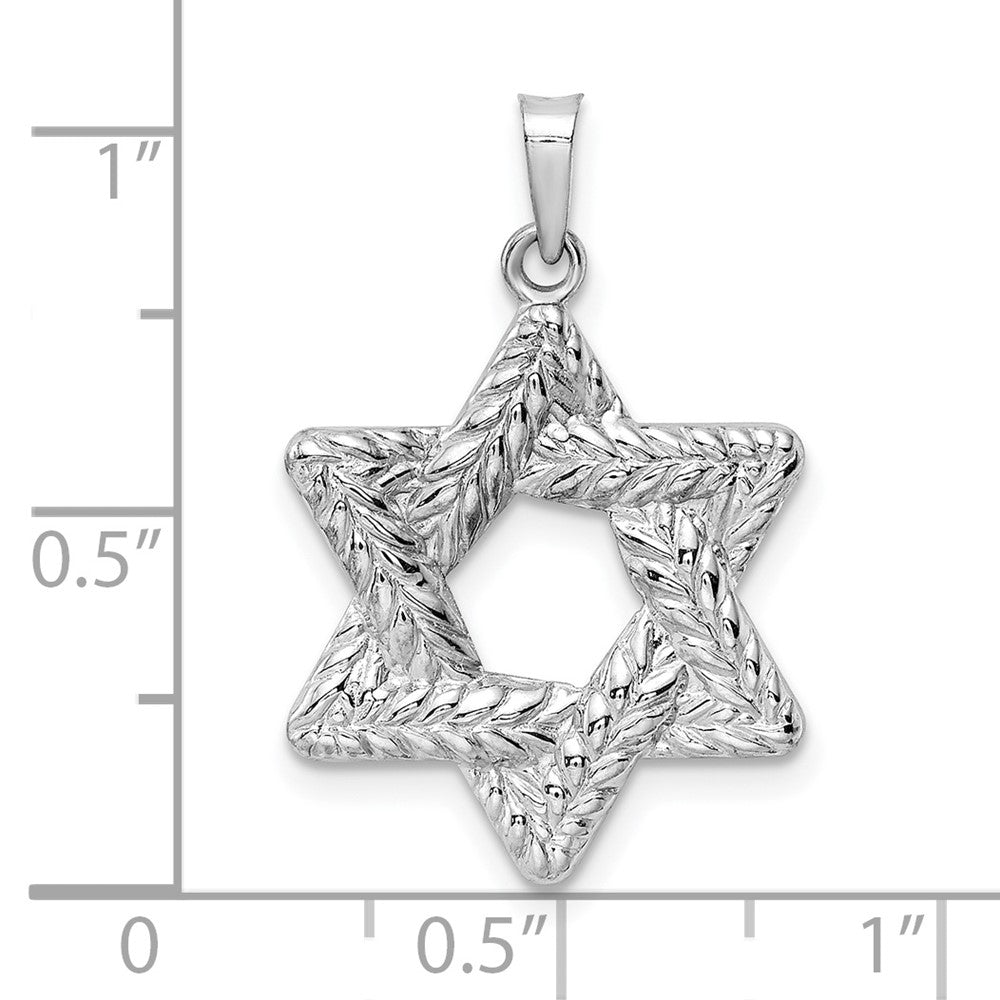 14k White Gold 20.15 mm Polished and Textured Solid Star of David Pendant (1.04 grams)