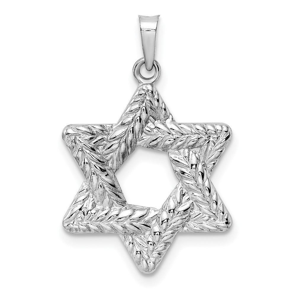 14k White Gold 20.15 mm Polished and Textured Solid Star of David Pendant (1.04 grams)