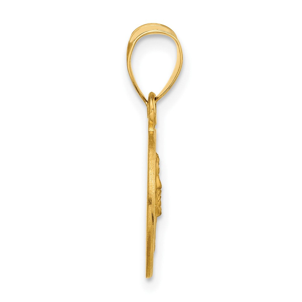 14k Yellow Gold 13.2 mm Polished and Satin Solid Face of Jesus Medal (1.33 grams)