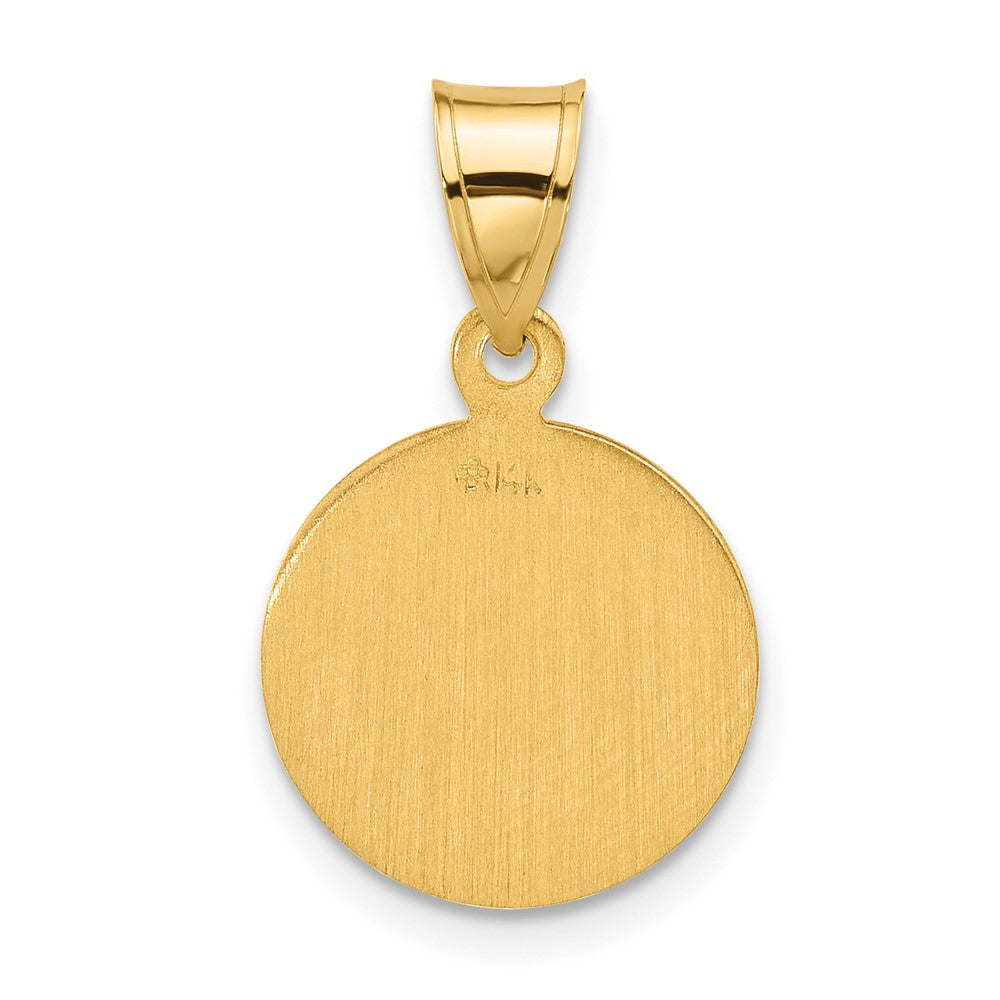 14k Yellow Gold 13.2 mm Polished and Satin Solid Face of Jesus Medal
