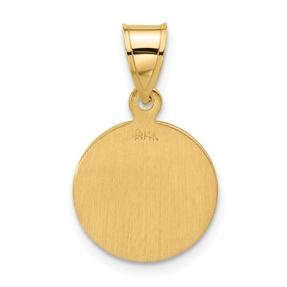 14k Yellow Gold 13.3 mm Polished and Satin Solid Miraculous Mary Plain Back Medal (1.24 grams)