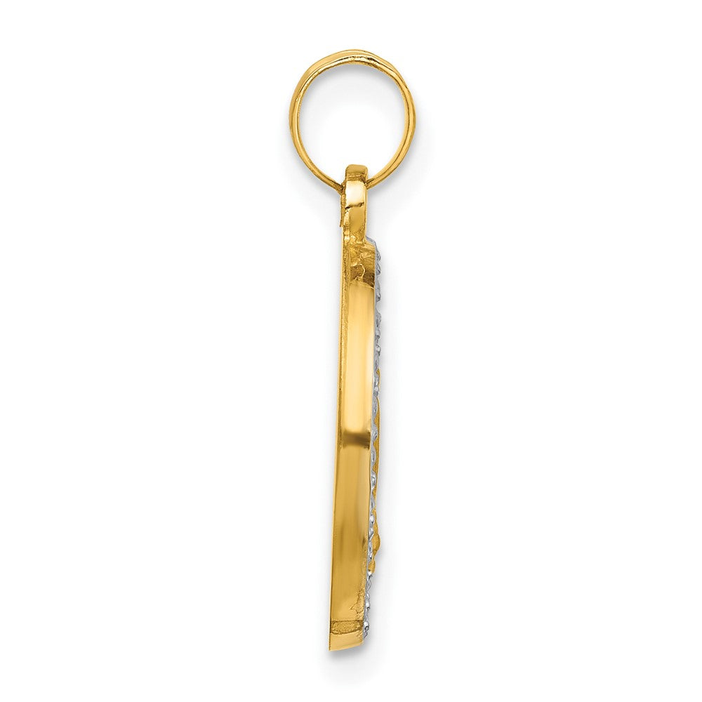 14k Yellow & Rhodium 16.1 mm Hollow Miraculous Mary Plain Back Medal (1.14 grams)