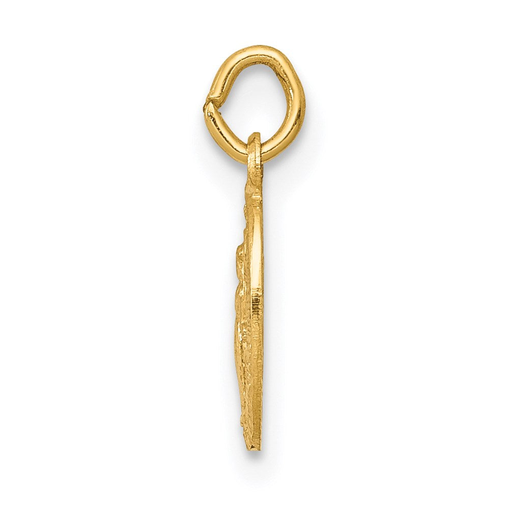 14k Yellow Gold 7 mm Miraculous Medal Charm (0.24 grams)