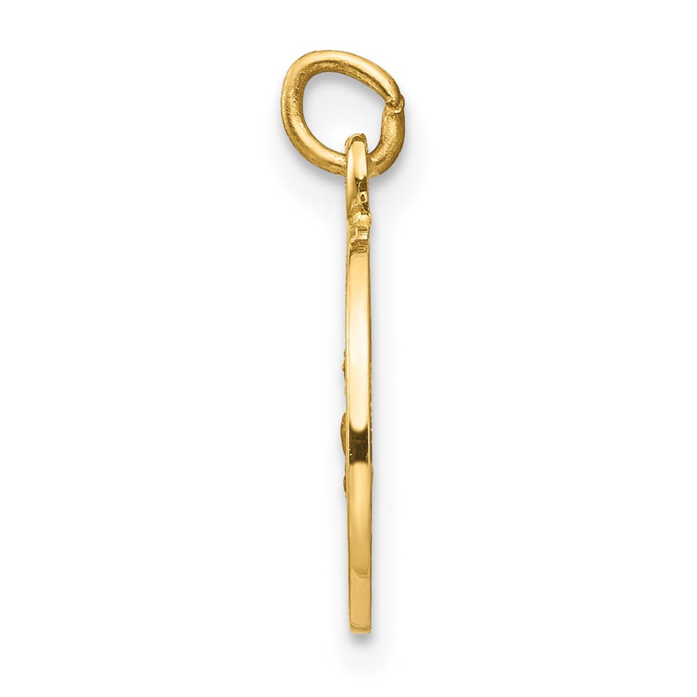 14k Yellow Gold 12 mm Saint Roch Medal Charm (0.77 grams)