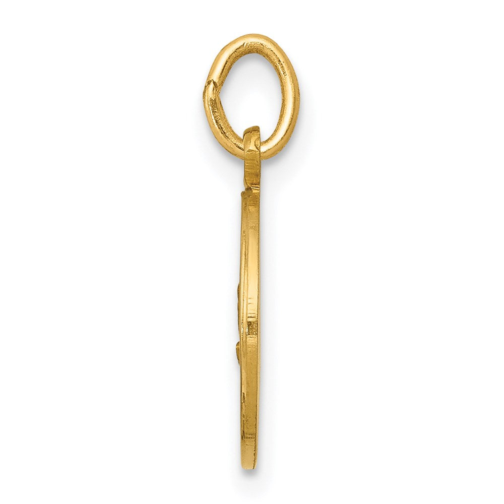 14k Yellow Gold 11 mm Our Lady of Fatima Medal Charm (0.74 grams)