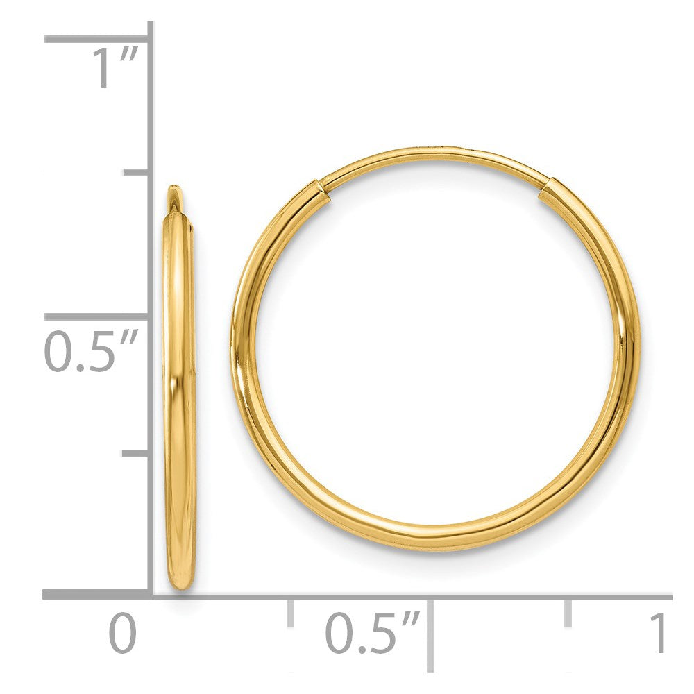 14k Yellow Gold 20 mm Endless Hoop Earring (0.48 grams)