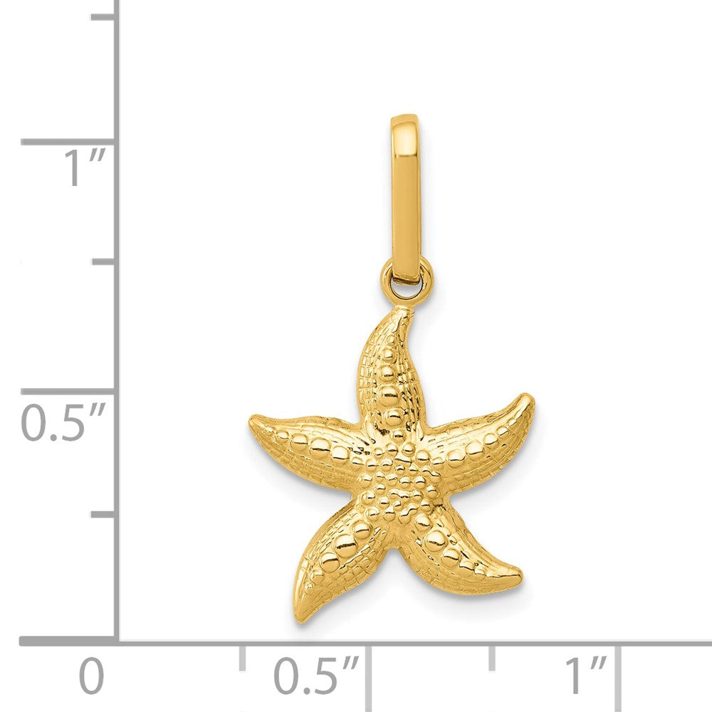 14k Yellow Gold 14 mm Textured Hollow Starfish Pendant (0.57 grams)