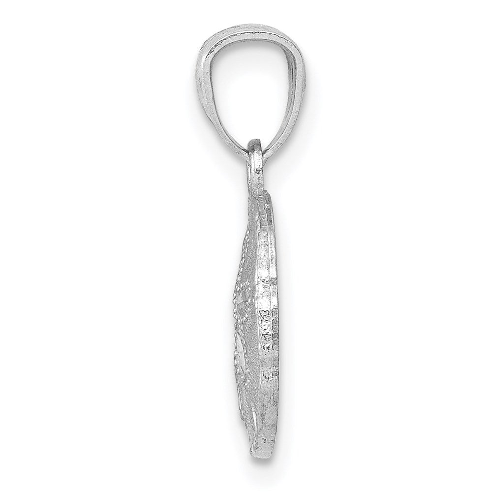 14k White Gold 11 mm Polished and Textured Sand Dollar Pendant (0.62 grams)