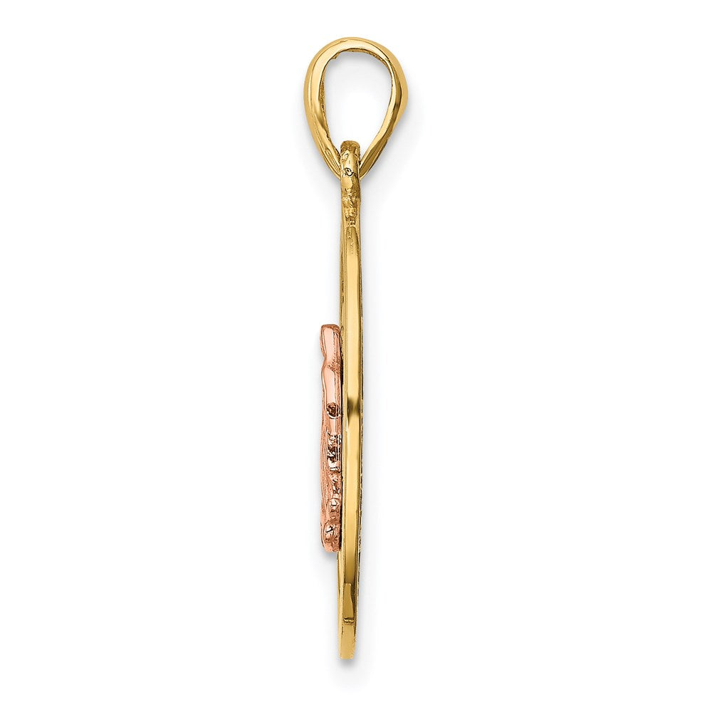 14k Two-tone 12.7 mm Two-tone Our Lady of Guadalupe Pendant (1.1 grams)