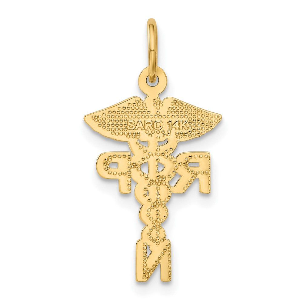 10k Yellow Gold 15 mm Registered Nurse Practitioner Charm (0.83 grams)