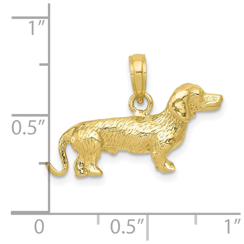 10k Yellow Gold 25 mm Solid Polished 3-Dimensional Wire Haired Dachshund Charm (4.03 grams)