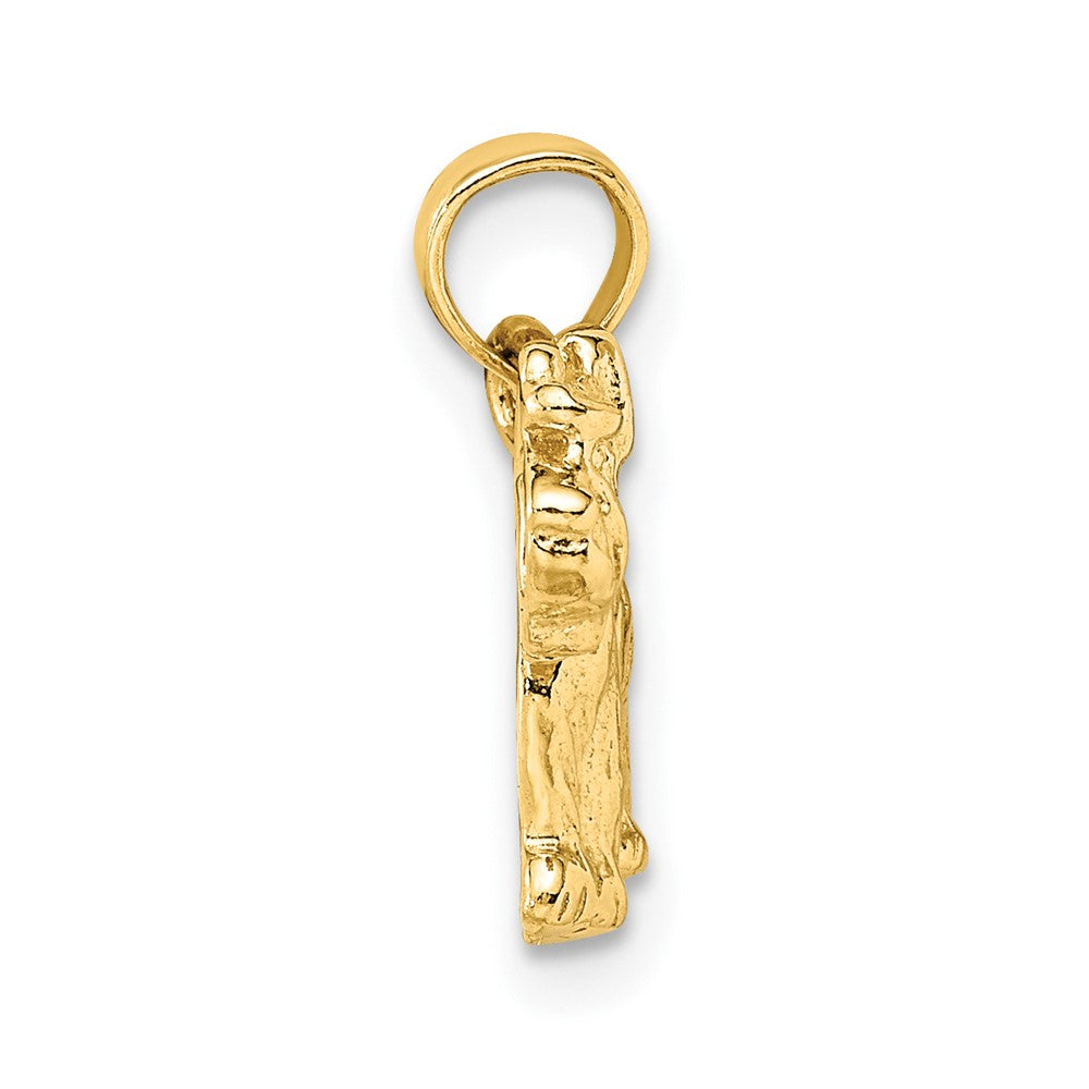 10k Yellow Gold 14 mm Schnauzer Dog Pendant (1.2 grams)