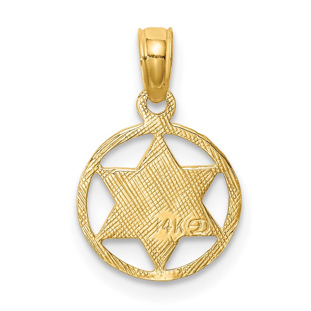 10k Yellow Gold 10.5 mm Star of David in Circle Frame Pendant (0.42 grams)