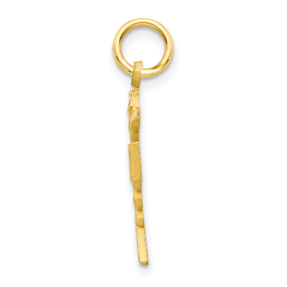 10k Yellow Gold 11 mm Solid Registered Nurse Charm (0.68 grams)